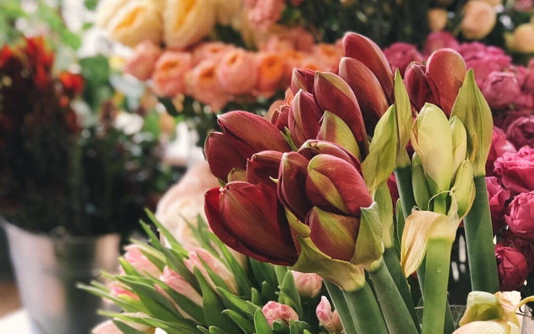 Florile potrivite la momentul potrivit