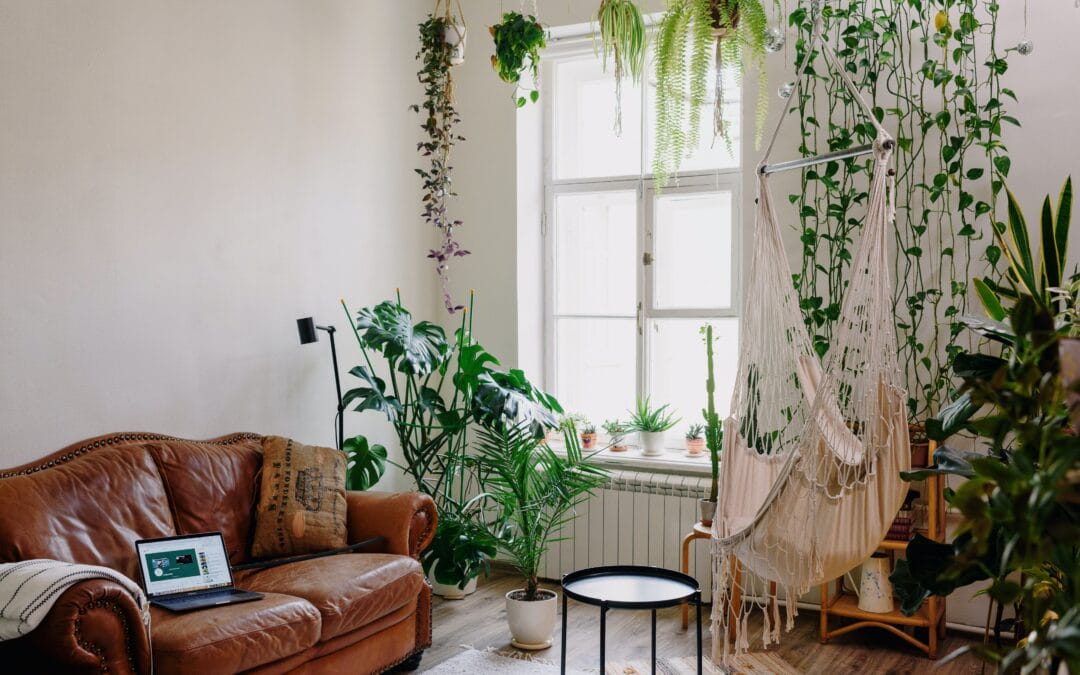 Cum să faci planta ta de apartament să fie mereu sănătoasă și frumoasă