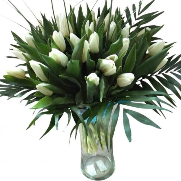 Lalele albe pretioase