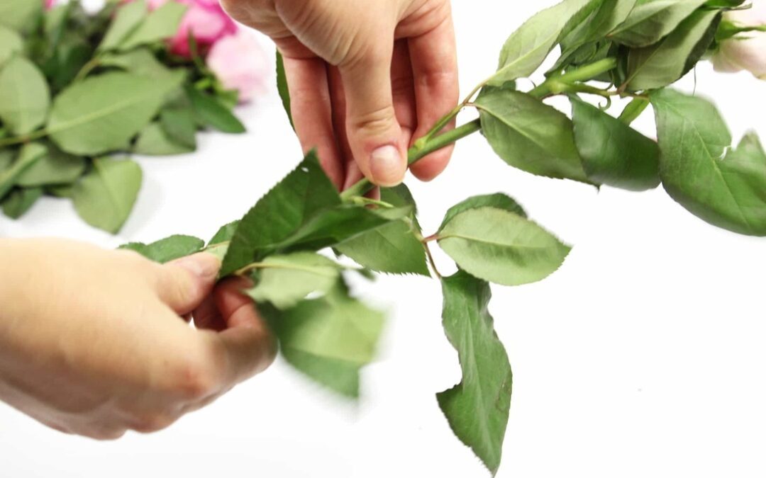 6 recomandări pentru a prelungi durata de viață a florilor
